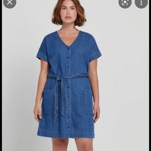 Frank and oak denim dress